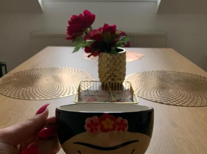 Frida Appartamento Nova Bana